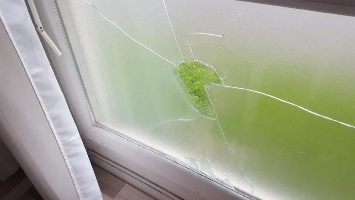 Pose de double vitrage pour une meilleure efficacité énergétique.